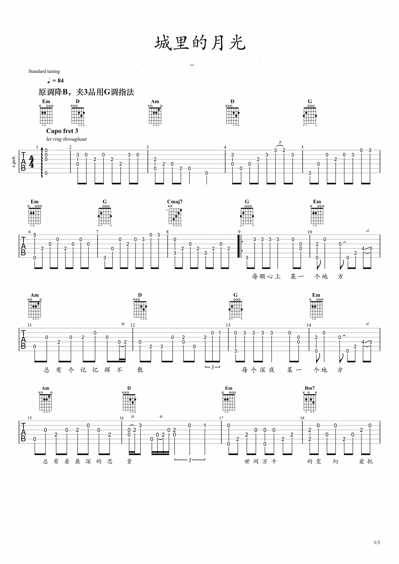 The moonlight in the city preview