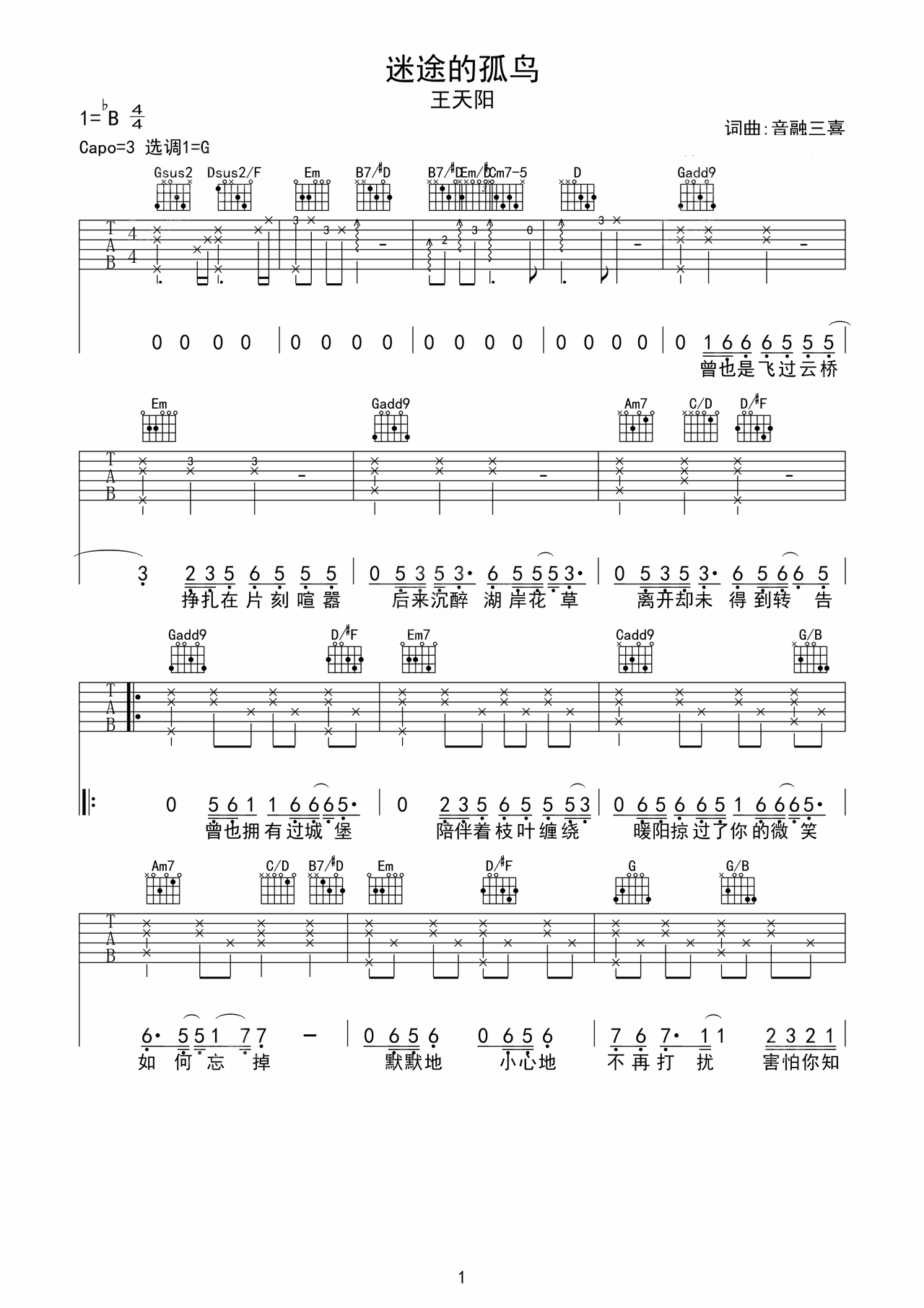 Lost Lone Bird preview